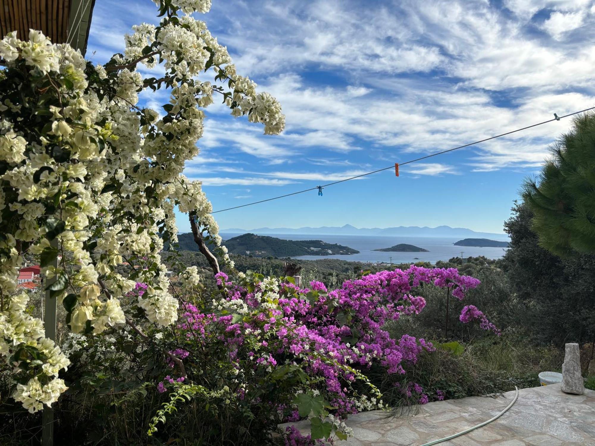 Tierra Villa Skiáthos Eksteriør bilde